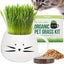 Organic Pet Grass Grow Kit with Planter, White