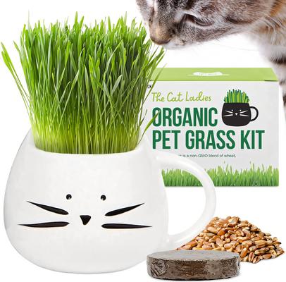 Organic Pet Grass Grow Kit with Planter, White
