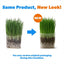 Organic Pet Grass Grow Kit, 3 count
