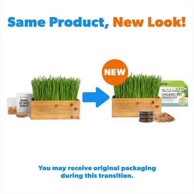 Kit de hierba para gatos y jardinera decorativa de madera, natural