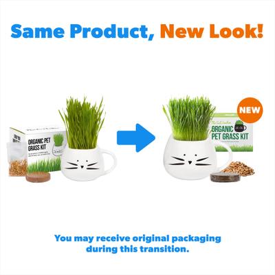 Organic Pet Grass Grow Kit with Planter, White