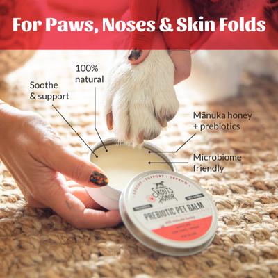 Prebiotic Dog & Cat Balm, 2-fl oz jar