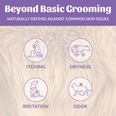 Probiotic Lavender Pet Shampoo & Conditioner, 16-fl oz bottle