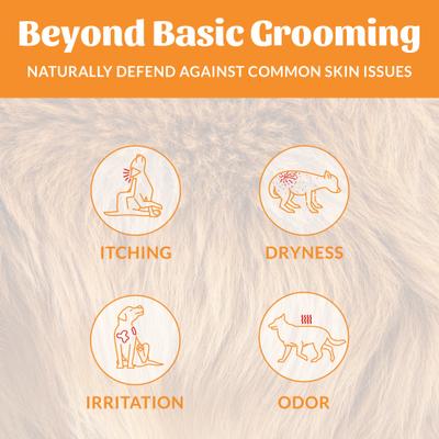 Probiotic Honeysuckle Pet Shampoo & Conditioner, 16-fl oz bottle