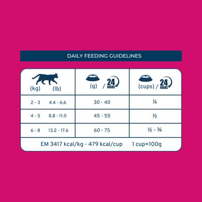 Active Intestinal Support Diet Dry Cat Food, 0.88-lb bag