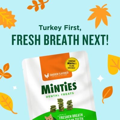 Chicken Flavored Cat Dental Treats, 10-oz bag