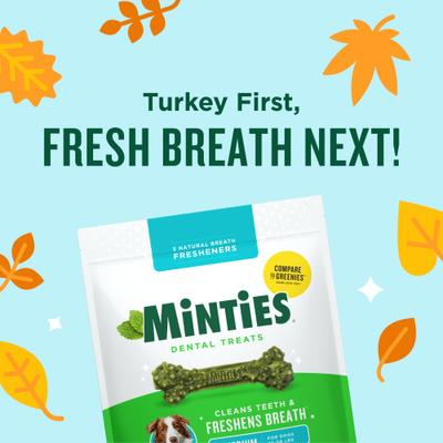 Medium Mint Flavored Dental Treats for Dogs, 25-50 lbs, 16-oz, 20 count