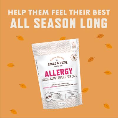 Chicken Flavored Allergy Chew Supplement for Cats, 3.7-oz bag