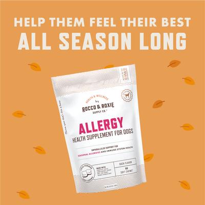 Duck Flavored Allergy Soft Chew Supplement for Dogs, 60 count