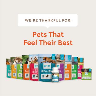 Hip & Joint Health Chicken Flavored Chewable Tablet Supplement for Dogs, 60 count