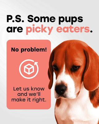 Omega 3-6 Skin & Coat Salmon Flavor Soft & Chewy Dog Treats, 140 count