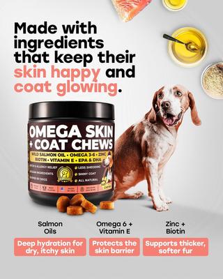Omega 3-6 Skin & Coat Salmon Flavor Soft & Chewy Dog Treats, 140 count