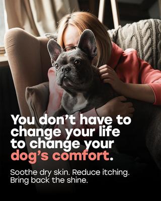 Omega 3-6 Skin & Coat Salmon Flavor Soft & Chewy Dog Treats, 140 count