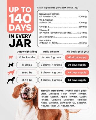 Omega 3-6 Skin & Coat Salmon Flavor Soft & Chewy Dog Treats, 140 count