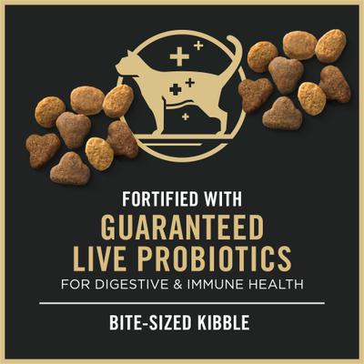 Chicken & Rice Formula with Probiotics High Protein Cat Food, 7-lb bag