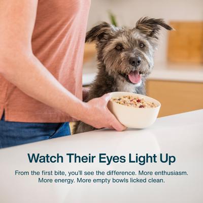 Alimento fresco para perros de grado humano congelado, bajo en proteínas, Veterinary Diet Renal Support, bolsa de 18 oz, caja de 7