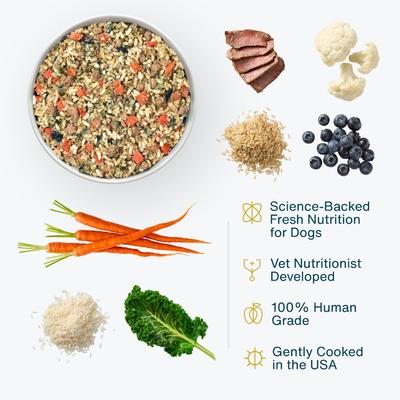 Alimento fresco para perros de grado humano congelado, bajo en proteínas, Veterinary Diet Renal Support, bolsa de 18 oz, caja de 7