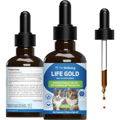 Life GOLD Liquid Immune Supplement for Cats, sabor Tocino. 60 ml. - Pet Wellbeing
