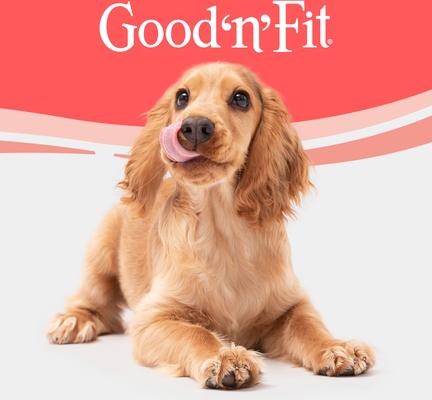 Long-Lasting Large Rolls Venison Rawhide Chew Dog Treats, 2 count