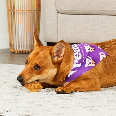 Chicken Flavor Assorted Collagen Crisps, 10-oz bag