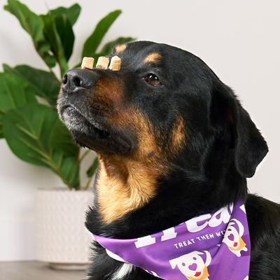 Chicken & Sweet Potato with Collagen Freeze-Dried Dog Treats, 3-oz cube