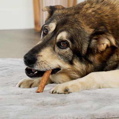 Collagen Smart Sitcks Salmon Flavor Dog Chews, 9-oz bag