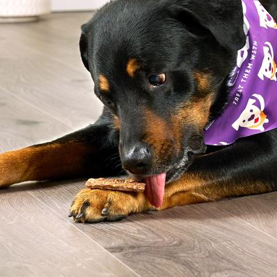 Chicken Flavor Jerky Strips Dog Treats, 5-oz bag