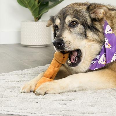 USA Beefhide Bones 9 to 10-in Chicken Flavor Dog Chews