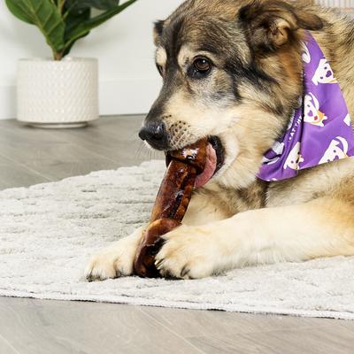 USA Beefhide Bones 9 to 10-in Beef Flavor Dog Chews