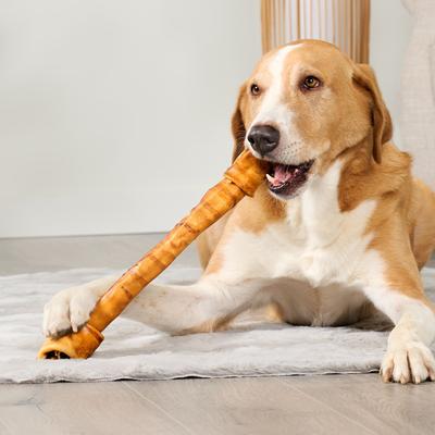 USA Beefhide Bones 15 to 17-in Chicken Flavor Dog Chews