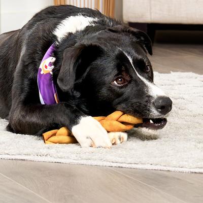 USA Beefhide Braids 7 to 8-in Chicken Flavor Dog Chews, 7 count