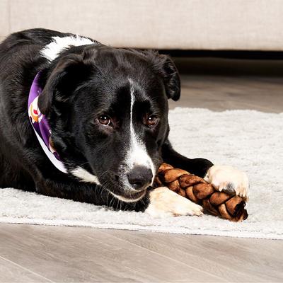 USA Beefhide Braids 7 to 8-in Peanut Butter Flavor Dog Chews, 7 count