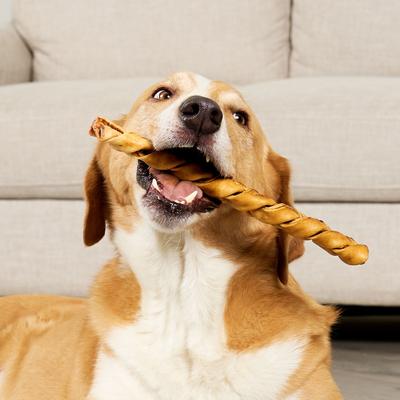 USA Beefhide Braids 12 to 13-in Chicken Flavor Dog Chews, 2 count