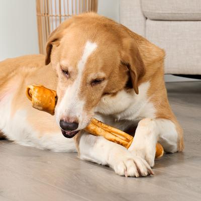 American Beefhide Bones 12 to 13-in Chicken Flavor Dog Chews