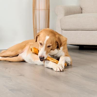 American Beefhide Bones 12 to 13-in Chicken Flavor Dog Chews