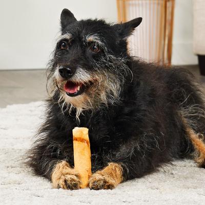 American Sourced Beefhide Rolls 4 to 5-in Chicken Flavor Dog Chews, 16 count