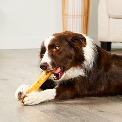 American Sourced Beefhide Rolls 8 to 9-in Chicken Flavor Dog Chews, 10 count