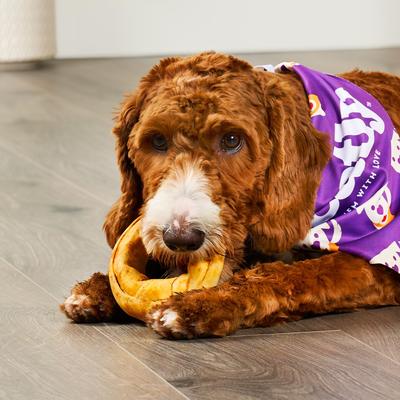 American Sourced Beefhide Donut 3 to 4-in Chicken Flavor Dog Chews, 8 count