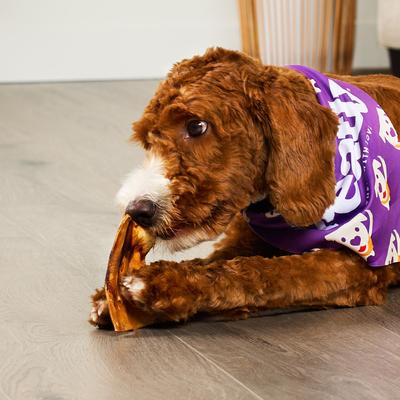 American Sourced Beefhide Chips Peanut Butter Flavor Dog Chews, 22-oz bag