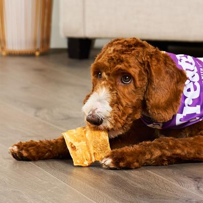 Masticables para perros con sabor a pollo y chips de piel de res de origen americano, bolsa de 22 oz