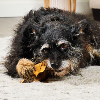 USA Collagen Chips Assorted Chicken Marinade Flavor Dog Chews, 14-oz bag