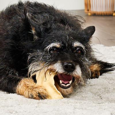 USA Collagen Chips Assorted Natural Flavor Dog Chews, 14-oz bag