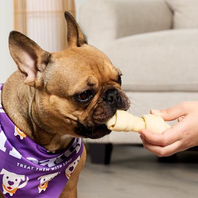 USA Beefhide Bones 5 to 6-in Natural Flavor Dog Chews, 7 count