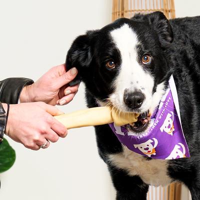 USA Beefhide Bones 9 to 10-in Natural Flavor Dog Chews