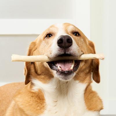 USA Beefhide Chip Rolls 10 to 11-in Natural Flavor Dog Chews, 10 count