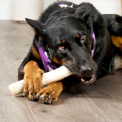 USA Beefhide Rolls 8 to 9-in Natural Flavor Dog Chews, 10 count