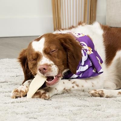 USA Beefhide Chips Natural Flavor Dog Chews, 12-oz bag