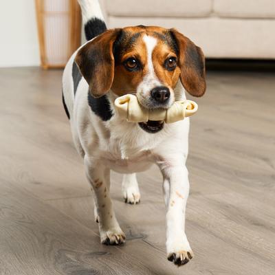 Huesos de piel de res de origen americano, masticables para perros con sabor natural de 4 a 5 pulgadas, 10 unidades