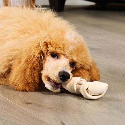 American Sourced Beefhide Bones 6 to 7-in Natural Flavor Dog Chews, 3 count