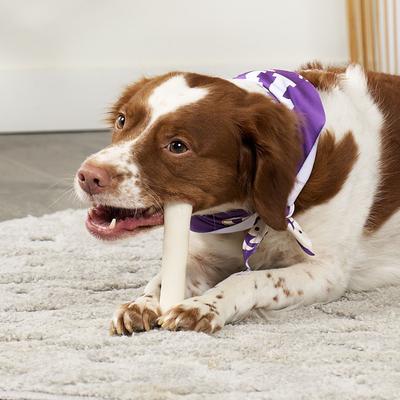 American Sourced Beefhide Chips Natural Flavor Dog Chews, 22-oz bag